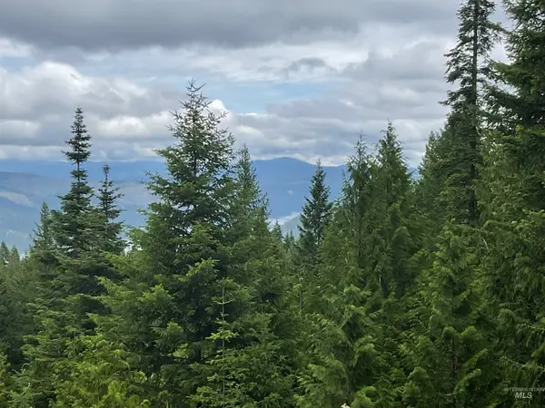 6125 Freeman Creek Rd, Lenore, ID 83541