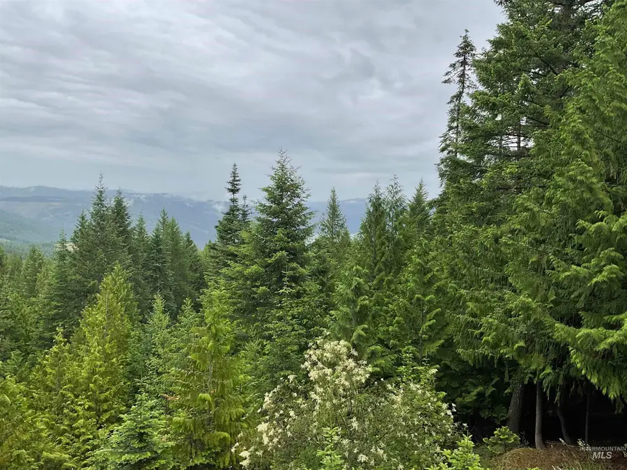 6125 Freeman Creek Rd, Lenore, ID 83541 - #2