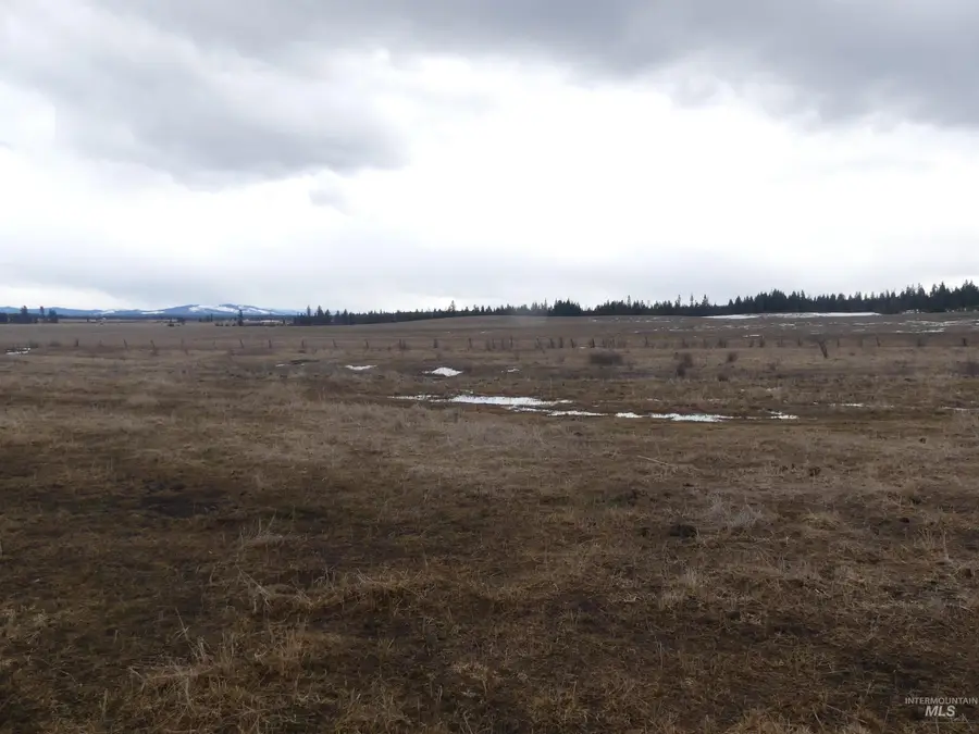 901 W Pierce Ave, Weippe, ID 83553 - #3