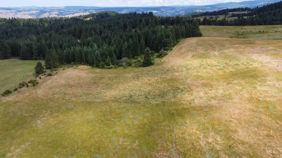 TBD Red Fir Rd, Kooskia, ID 83539 - #3