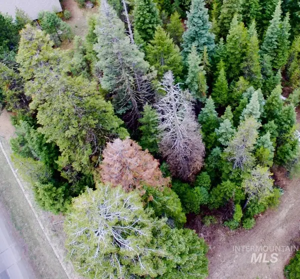 TBD Boydstun St, McCall, ID 83638
