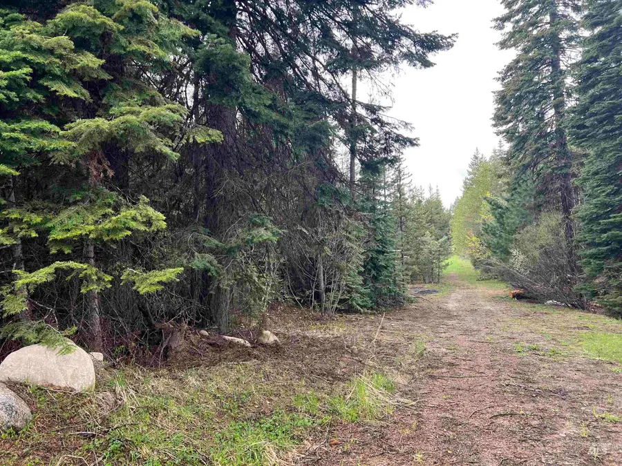 TBD Boydstun St, McCall, ID 83638 - #3