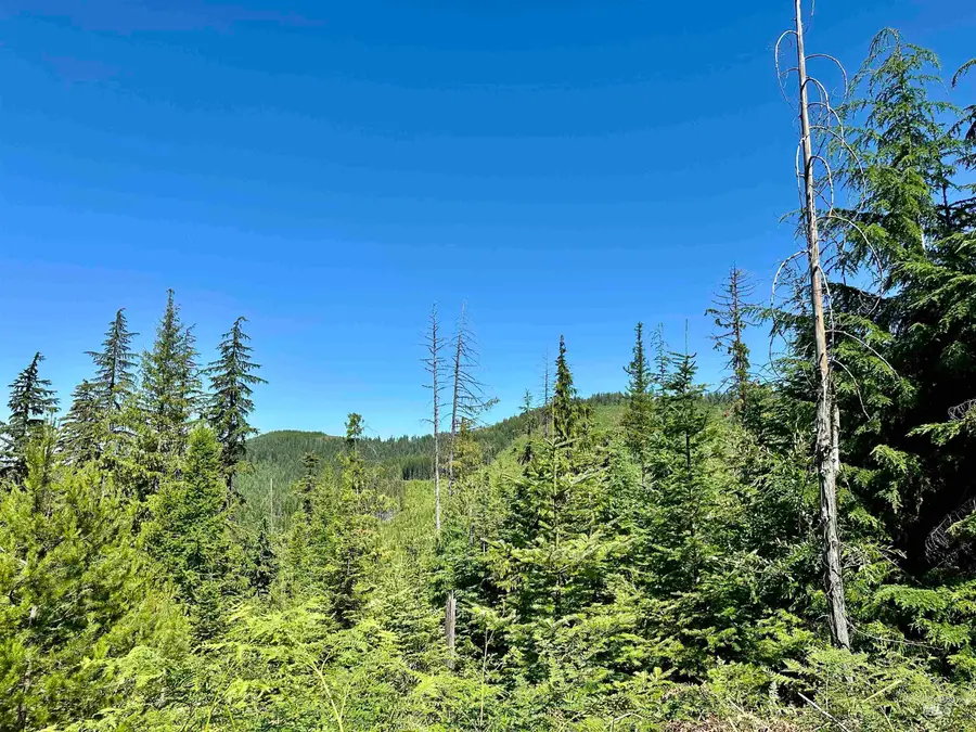 1494 & 1432 N Alpine, Fernwood, ID 83830 - #2