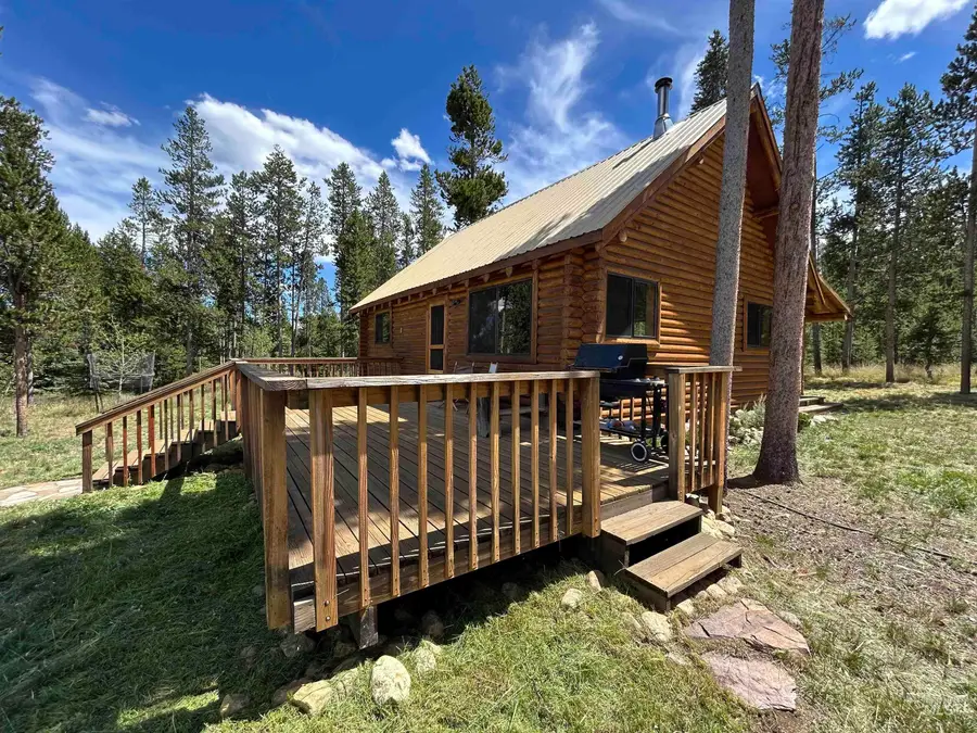 35 Sawtooth Way, Stanley, ID 83278 - #3