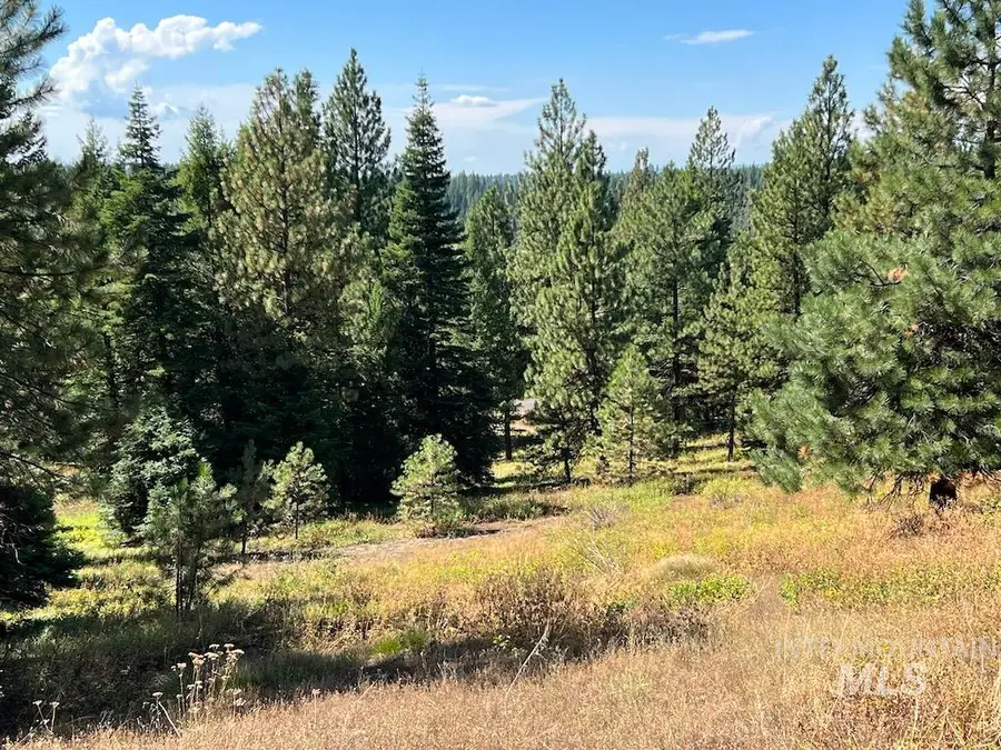 #7 Whitefield Lane, McCall, ID 83638 - #3