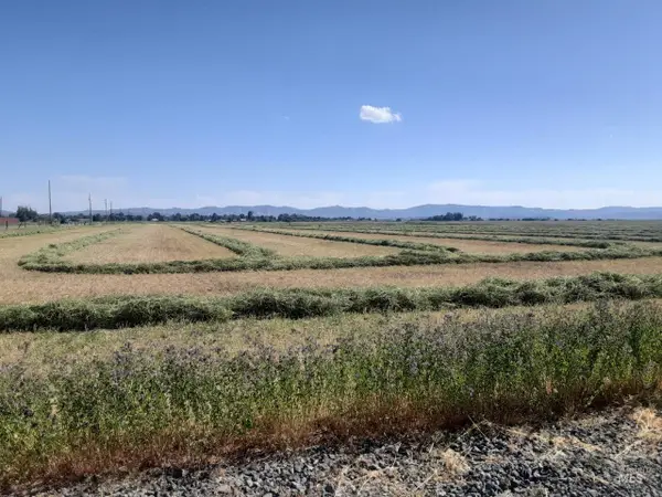 TBD Soldier Ih Lot 2 Blk 1, Fairfield, ID 83327