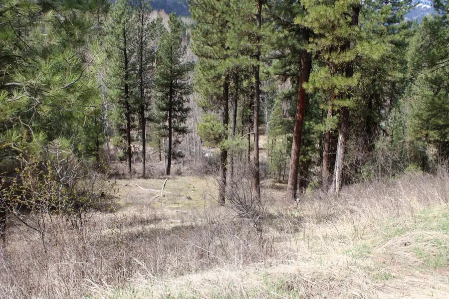 lot 19 blk 1 Creekside At Cross Timber Ranch, Garden Valley, ID 83622 - #2