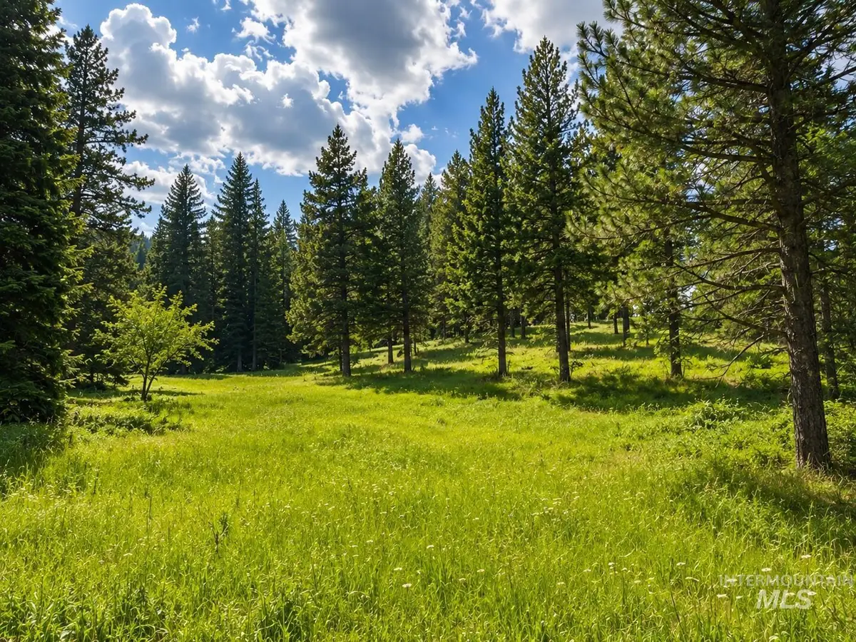 NNA Sangster Rd., Anatone, WA 99401 - #1