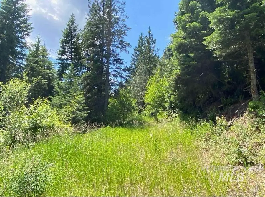 NNA Sangster Rd., Anatone, WA 99401 - #3