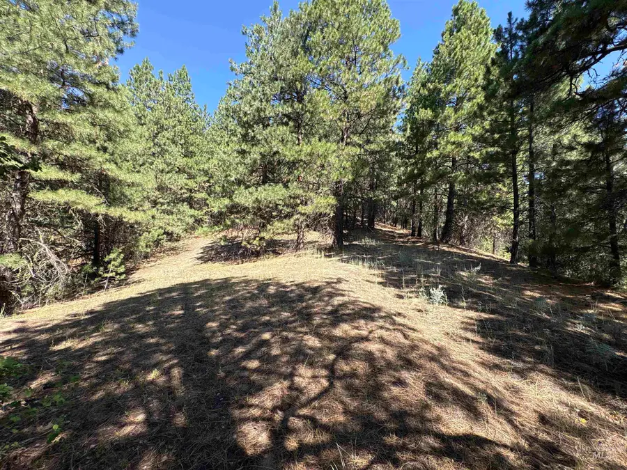 TBD Smith Creek Rd, Prairie, ID 83647 - #2
