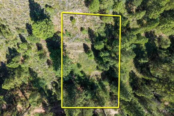 Lot 13 Valley Road, Lowman, ID 83687