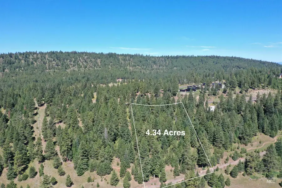 5541 Lupine Lane, McCall, ID 83638 - #3