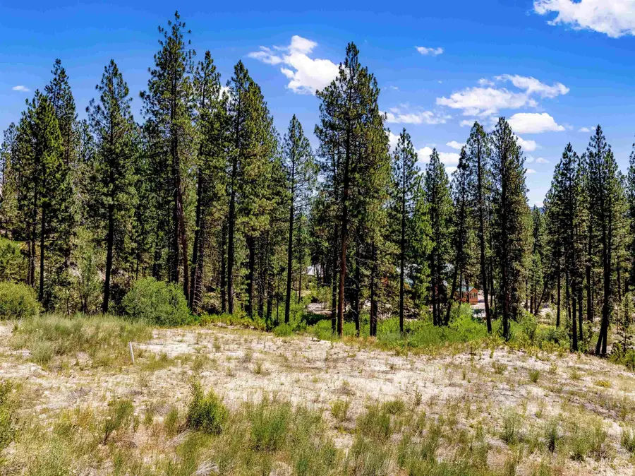 Lot 22 Bavarian Village, Idaho City, ID 83631 - #3