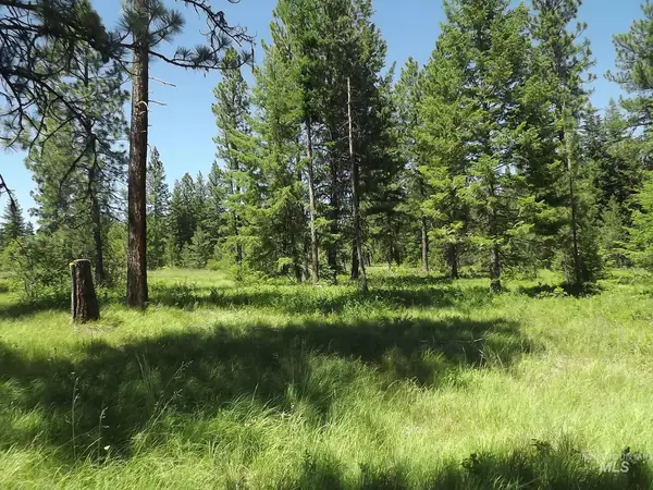 TBD (2) Kessler Mill Rd, Pomeroy, WA 99347