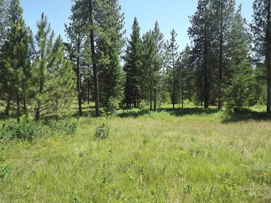 TBD (2) Kessler Mill Rd, Pomeroy, WA 99347 - #2