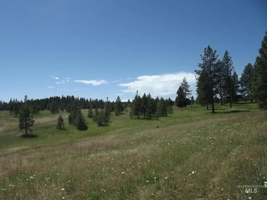 TBD (2) Kessler Mill Rd, Pomeroy, WA 99347 - #3