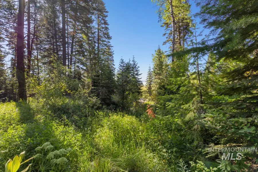 2 Arling Trail, Donnelly, ID 83615 - #3