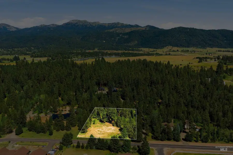 13772 Clear View Rd, McCall, ID 83638 - #3