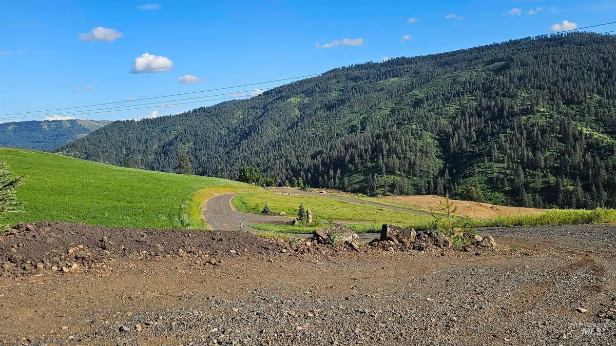 TBD Quiet Hills Lane, Lot 1, Lenore, ID 83541 - #1