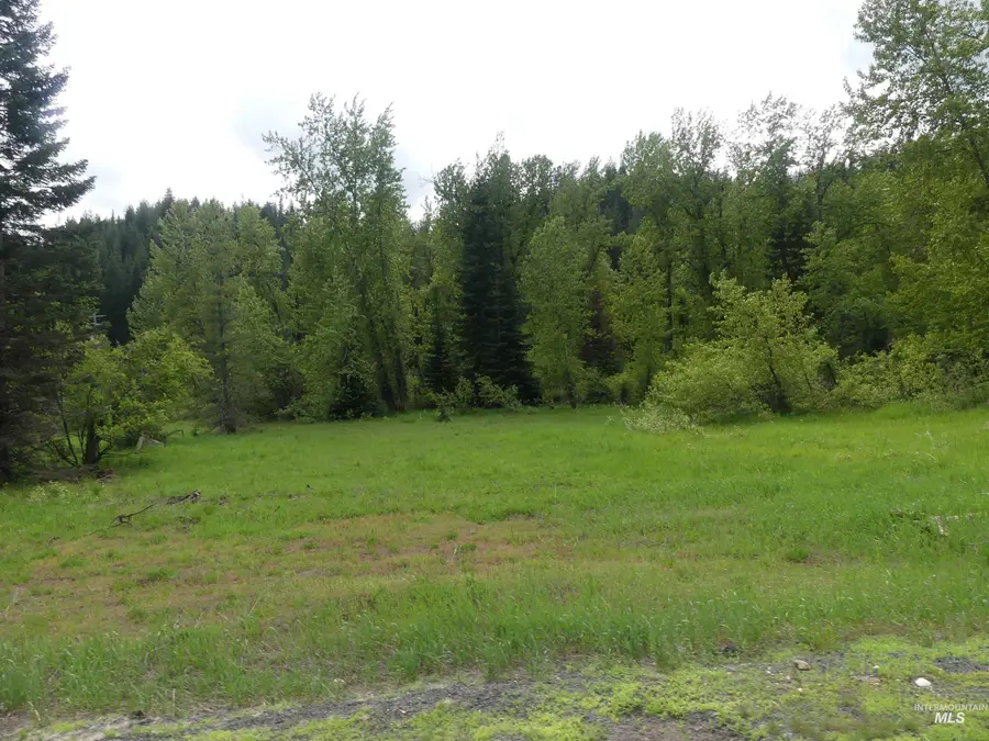 150 French Mountain Road, Pierce, ID 83546 - #3