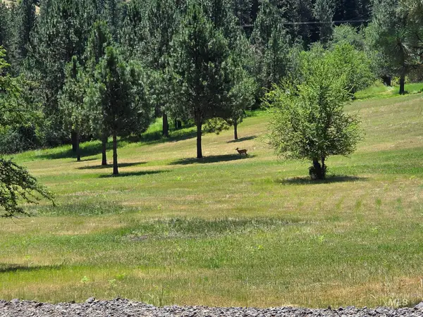 TBD Wild Plum Lane, Kooskia, ID 83539