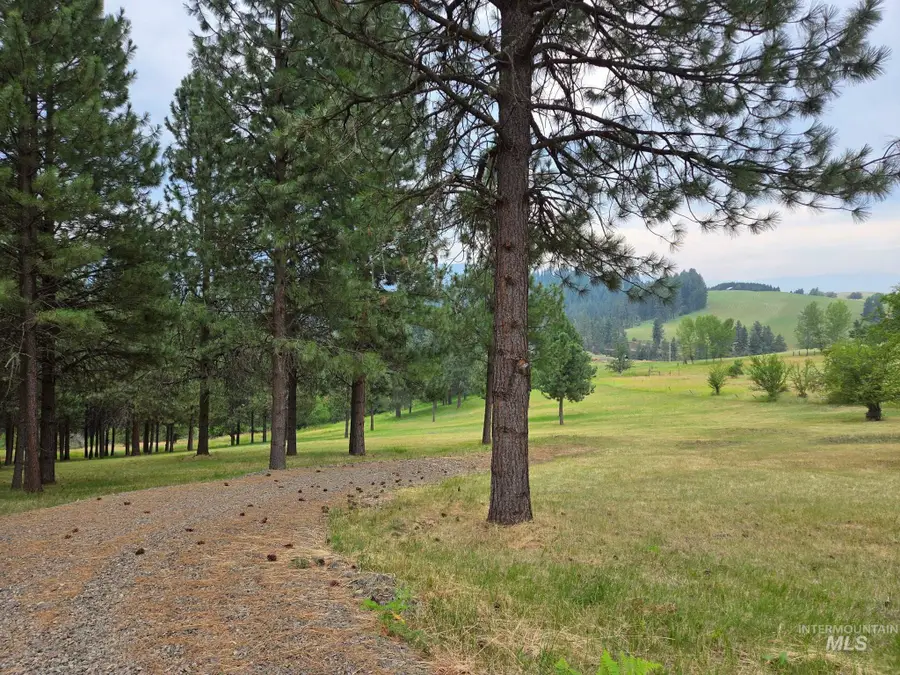 TBD Wild Plum Lane, Kooskia, ID 83539 - #3