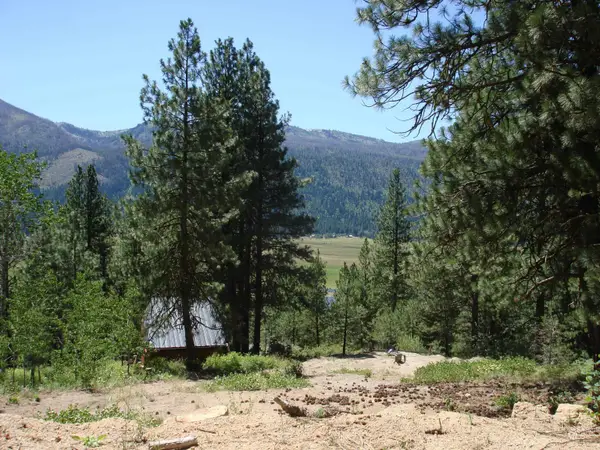 464 Collier View Road, Cascade, ID 83611