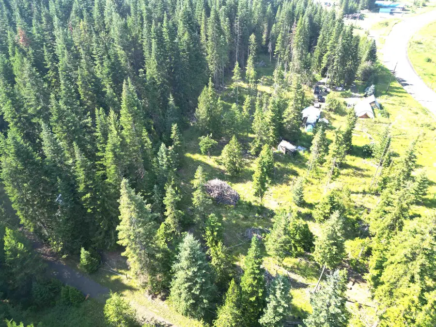 23 Aitken Road, Weippe, ID 83553 - #3