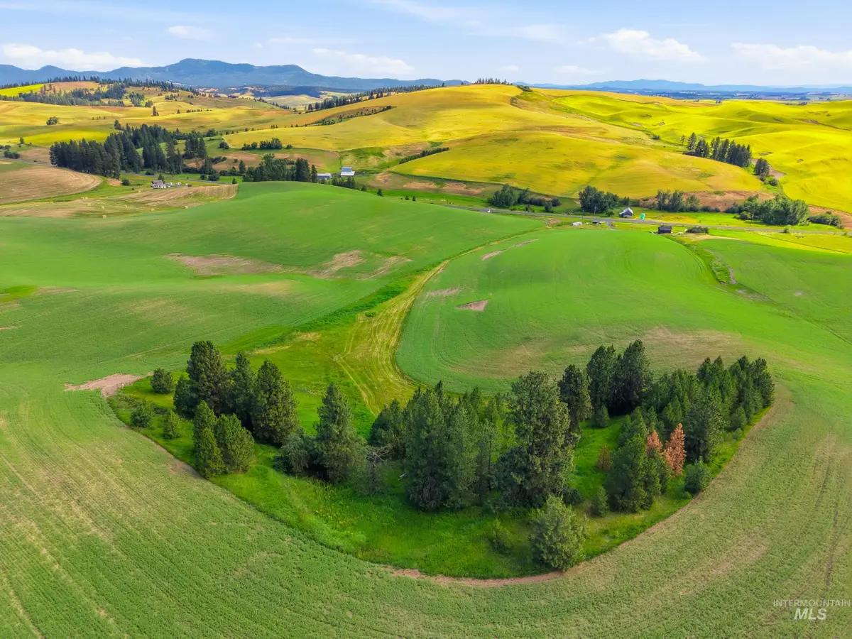 TBD Lenville Road, Moscow, ID 83843 - #1