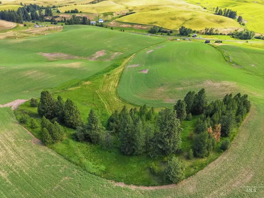 TBD Lenville Road, Moscow, ID 83843 - #2