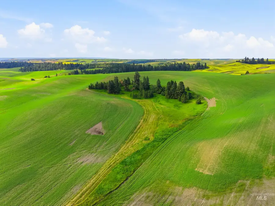 TBD Lenville Road, Moscow, ID 83843 - #3