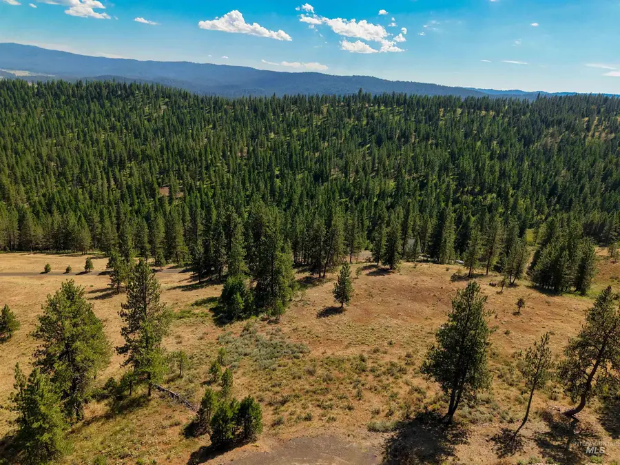 TBD Eagle Feather Road, New Meadows, ID 83654 - #2