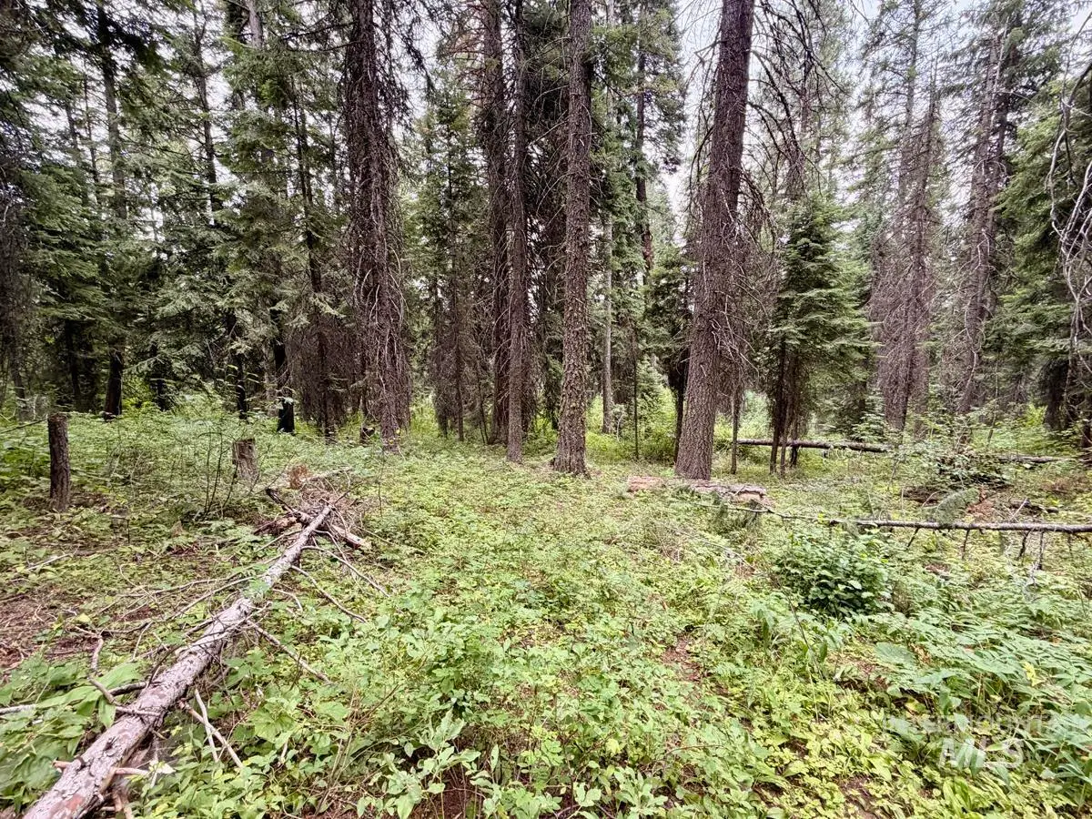 56 Burnt Wagon Trail, Donnelly, ID 83615 - #1