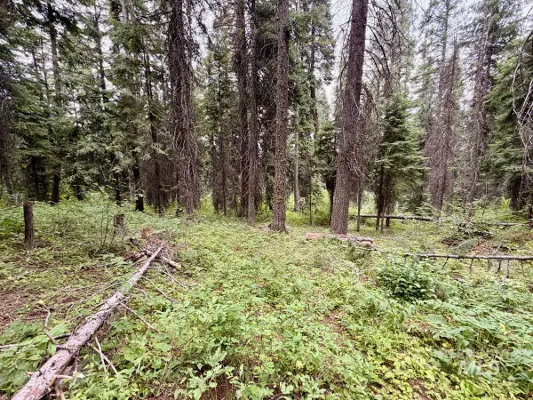 56 Burnt Wagon Trail, Donnelly, ID 83615