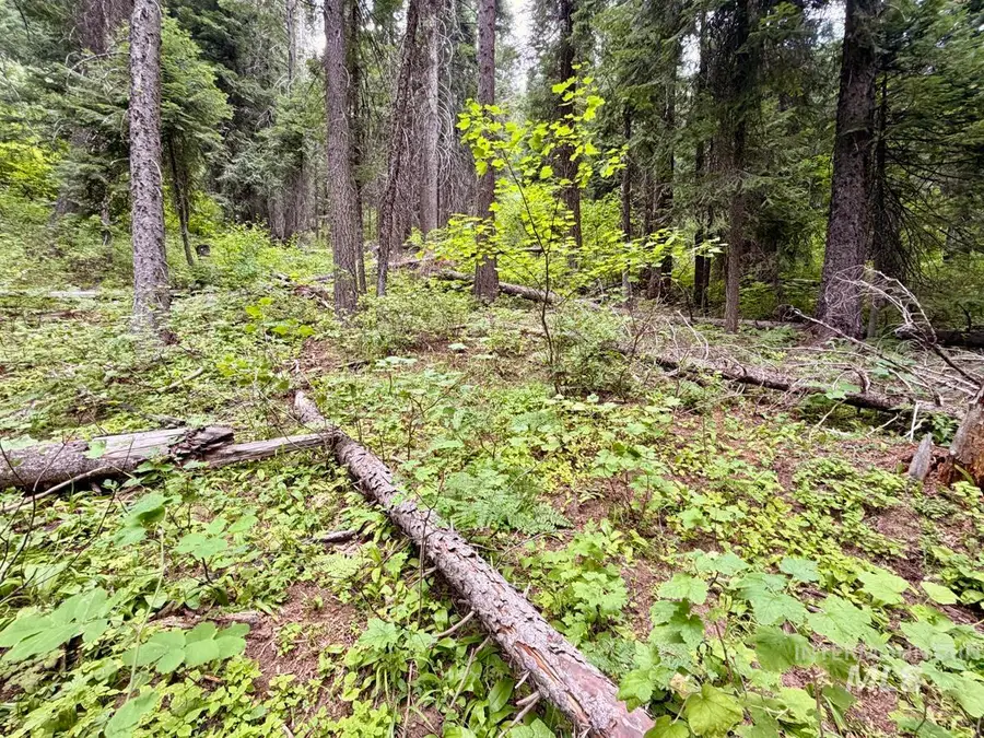 56 Burnt Wagon Trail, Donnelly, ID 83615 - #3