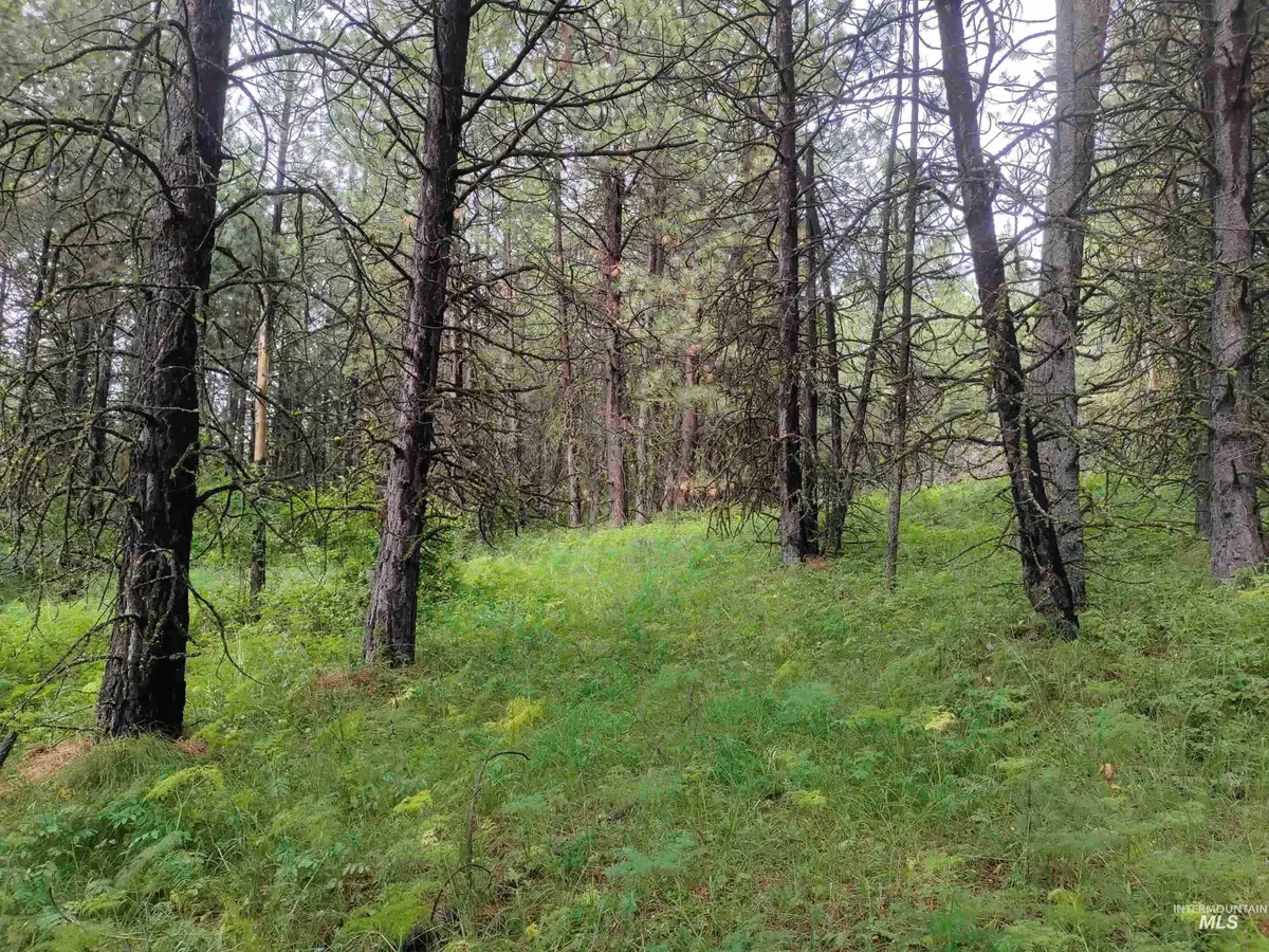 TBD 5ac Jackpine Rd, Cottonwood, ID 83522 - #1