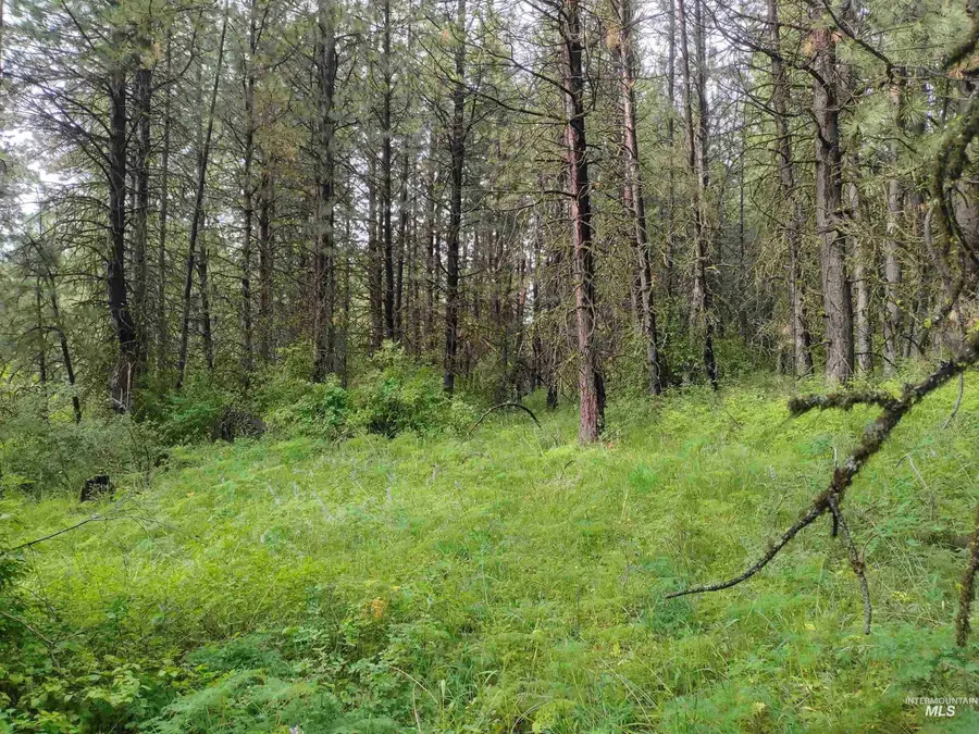 TBD 5ac Jackpine Rd, Cottonwood, ID 83522 - #2