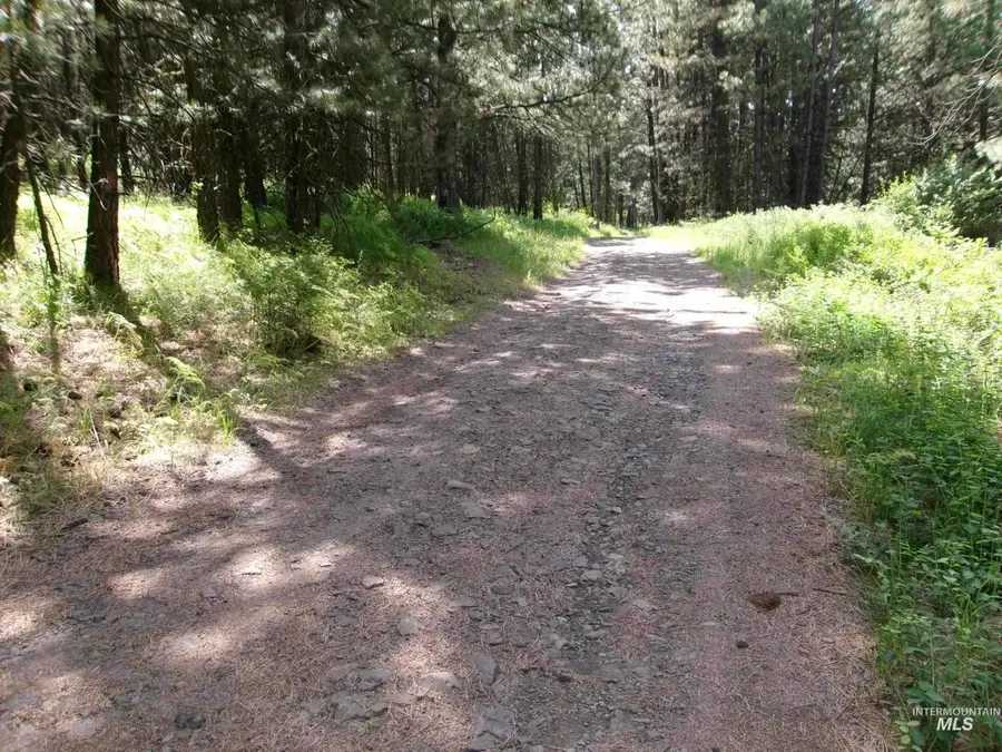 TBD 5ac Jackpine Rd, Cottonwood, ID 83522 - #3
