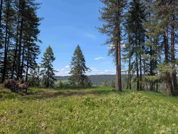 750 Mountain Top Drive (#2), Orofino, ID 83544