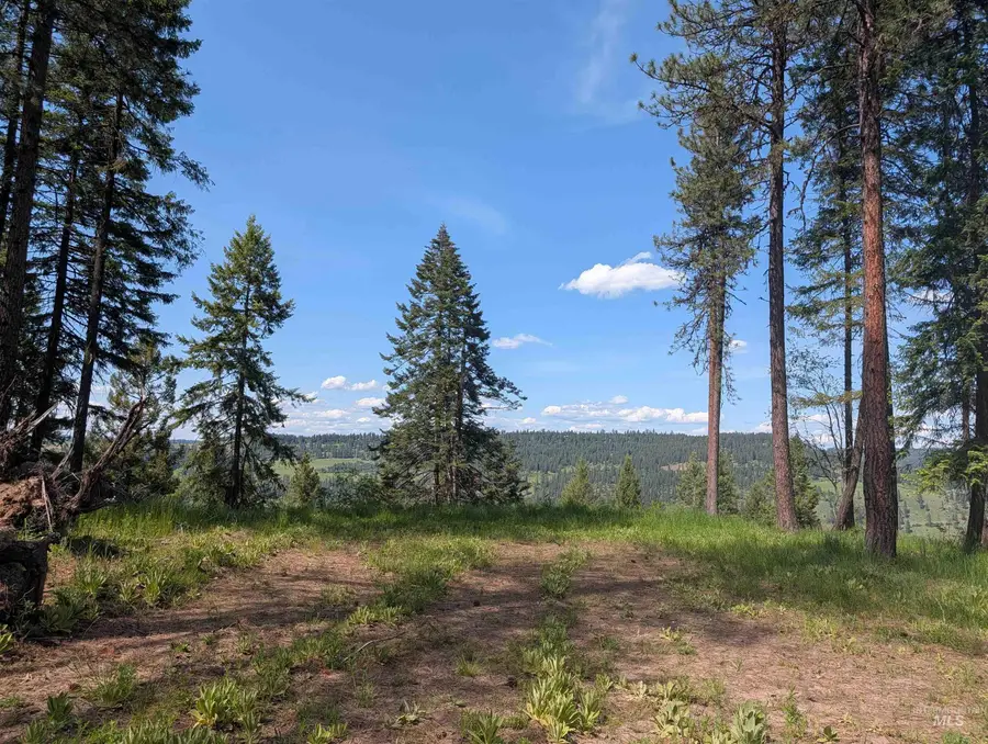 750 Mountain Top Drive (#2), Orofino, ID 83544 - #2
