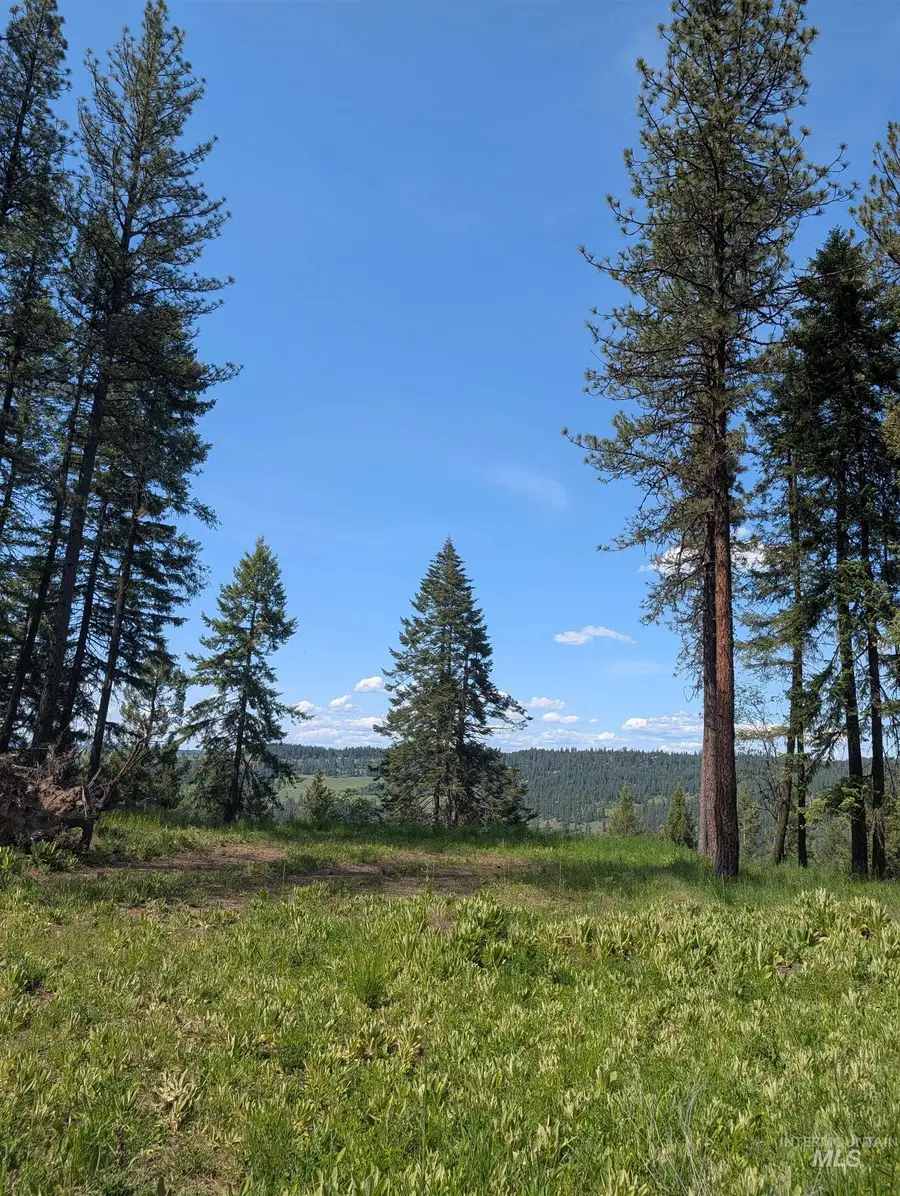 750 Mountain Top Drive (#2), Orofino, ID 83544 - #3