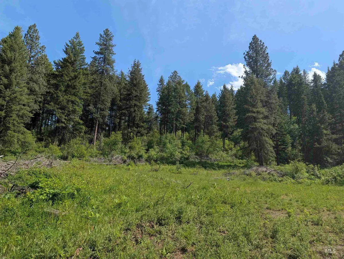 714 Mountain Top Drive (#3), Orofino, ID 83544 - #1