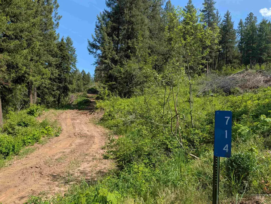 714 Mountain Top Drive (#3), Orofino, ID 83544 - #3
