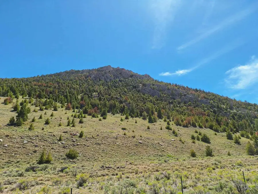 Dry Creek Road/donkey Hills, Outside City Limits, ID 83251 - #2