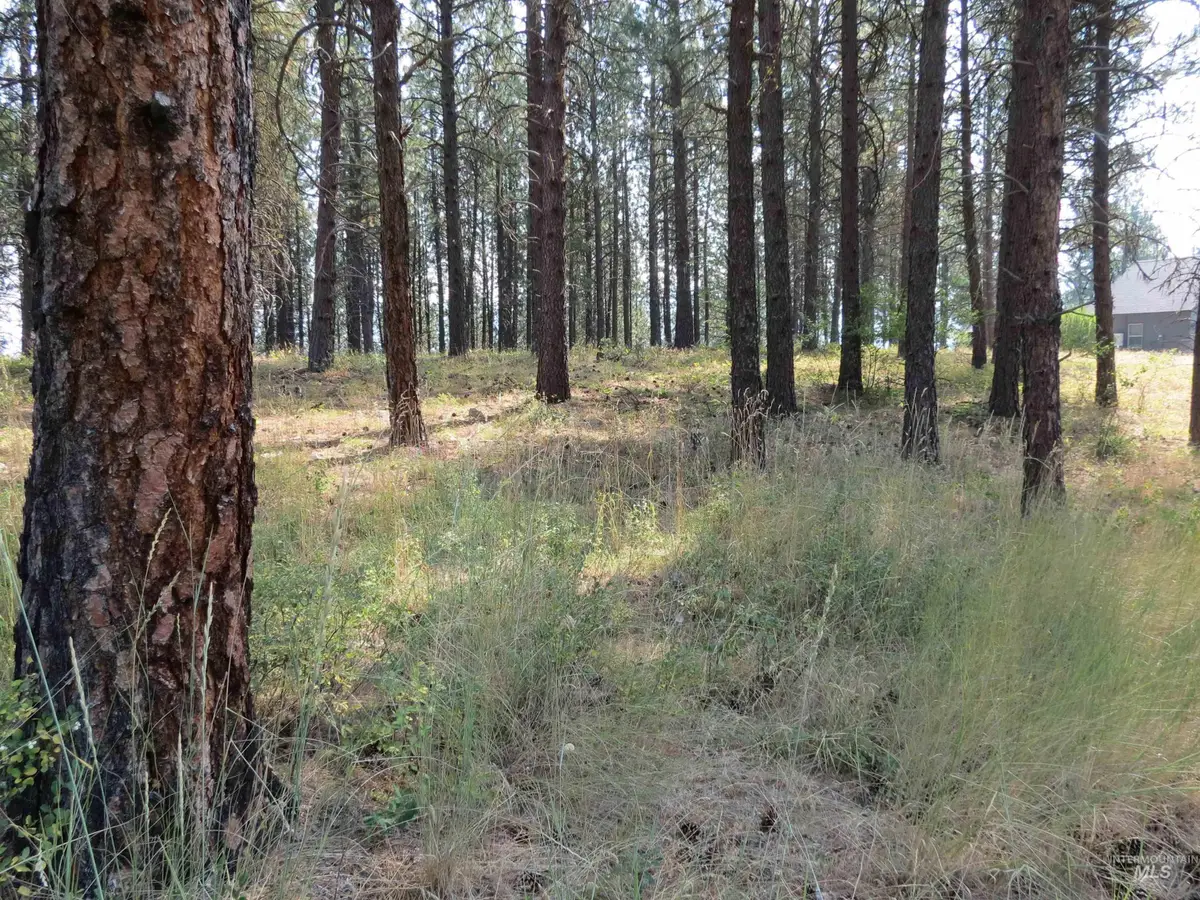 Lot 64 White Pine Dr., Garden Valley, ID 83622 - #1