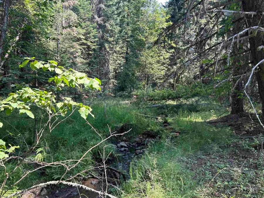 88 Farrens Creek Ln, Grangeville, ID 83530 - #2
