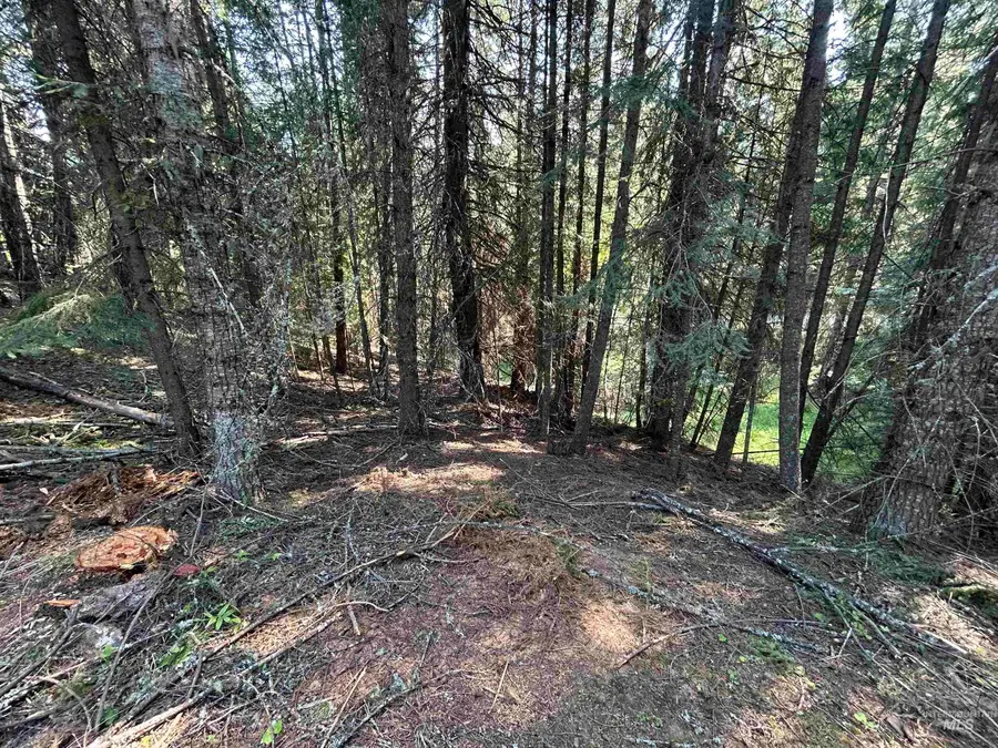 88 Farrens Creek Ln, Grangeville, ID 83530 - #3