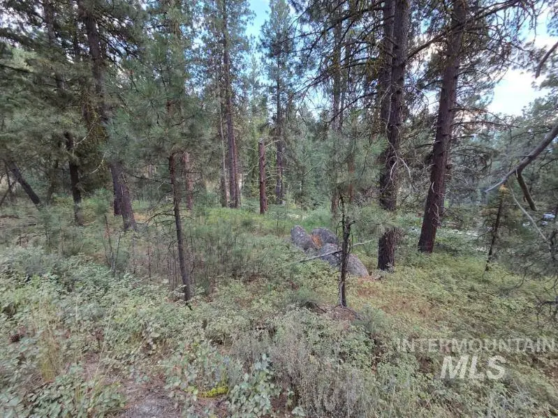1291 Crown Point Pkwy, Cascade, ID 83611 - #1
