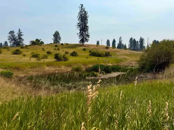 1003 Beaverslide Road, Kamiah, ID 83536
