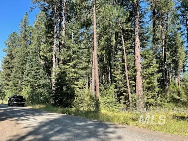 14 Black Bear Subdivision, New Meadows, ID 83654